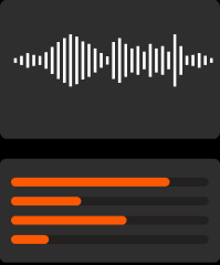 audio wave and levels